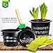 6 inch Net Pots Heavy Duty Round Cups Wide Rim Design - Orchids • Aquaponics • Aquaculture • Hydroponics Slotted Mesh (Cz All Star 10 Black Pots)