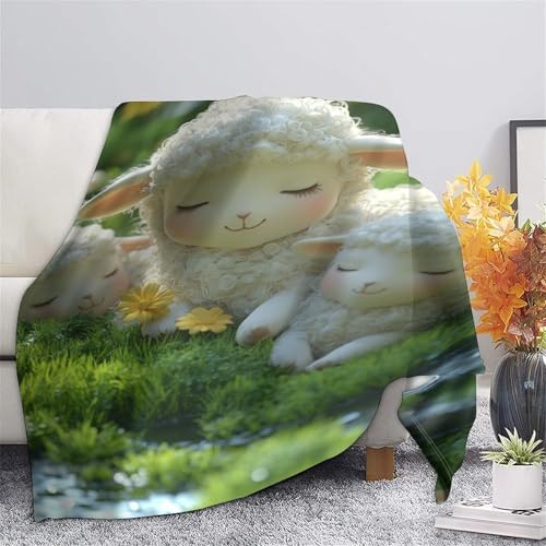 Couverture de voyage agneau 150x200cm contre frissons bureau