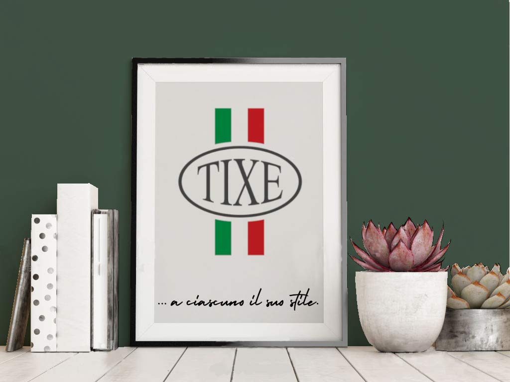 TIXE Pittura Colorata per Interni – Finitura di Alta Qualità e Resistente per Pareti e Superfici, FOREST SHADE 8588-5 4 litri