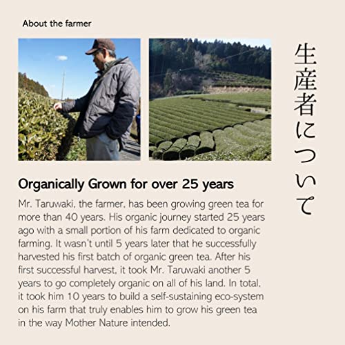Organic Green Tea Powder (Sencha) From Japan 40G - Shizen Tea #TOP4