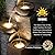 KAISOKU 38.2" Tall Outdoor Water Fountain,Stone Texture Modern 4 Tiers Cascading Bowls Garden Fountains Outdoor,Suit for Patio, Deck, Porch, Lawns, Backyard and Home Art Decor