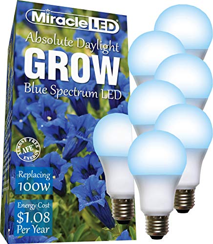 Black Friday Clearance MiracleLED 604456 Blue/Spectrum Blue Spectrum Starter Grow Light, Replaces 100W (6 Pack) Black Friday Clearance MiracleLED 604456 Blue/Spectrum Blue Spectrum Starter Grow Light, Replaces 100W (6 Pack)