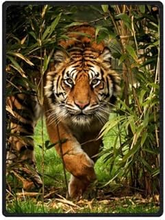 YISUMEI - Soft Fleece Blanket - Fierce Tiger,150 x 200 cm Throw Suitable for Bed or Sofa