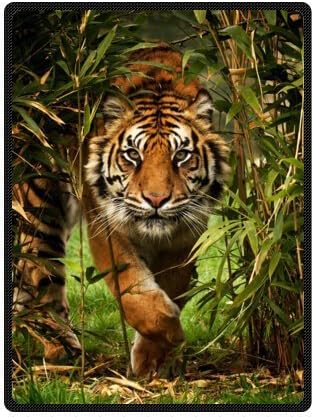 YISUMEI - Soft Fleece Blanket - Fierce Tiger,150 x 200 cm Throw Suitable for Bed or Sofa