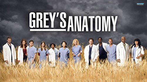 25x14 inch Greys Anatomy Silk Poster CGS8-A26