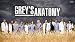 25x14 inch Greys Anatomy Silk Poster CGS8-A26