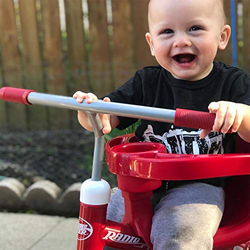Radio Flyer 4-in-1 Stroll 'N Trike