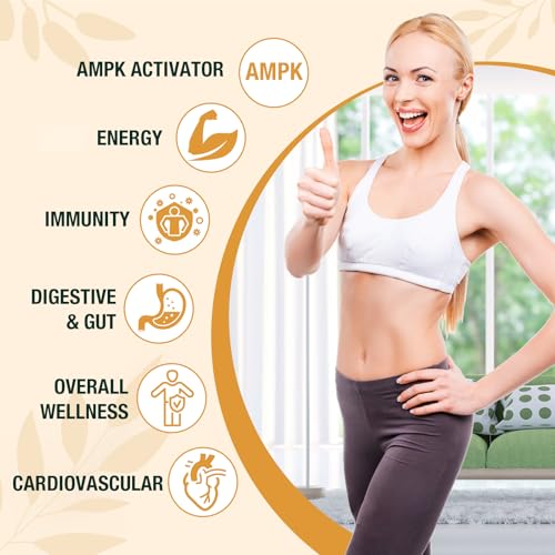 Zypherionixis Liposomal Berberine Drops Supplement 3000mg - High Absorption AMPK Activator, Organic Berberine HCl Complex with Ceylon Cinnamon & Ginger for Immune & Digestion (4 fl oz)