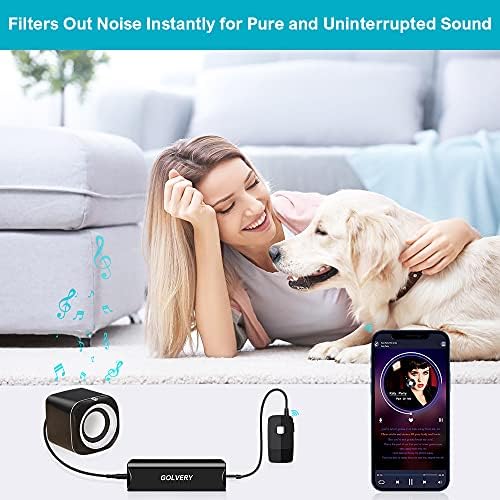 Golvery Ground Loop Noise Isolator, Auido Humming Hissing Buzzing Noise filter Eliminator for Car Audio, Home, PC Stereo System with 3.5mm or RCA Aux Jack