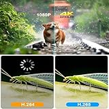 Android TV Box, Android 13.0 TV Box with 2GB RAM 16GB ROM, 4K Ultra HD Media Support, Google Android TV Box Quad core supported 2.4G/5G Wifi & Lan Cable with Bluetooth Remote, Chromecast Supported - Image 8