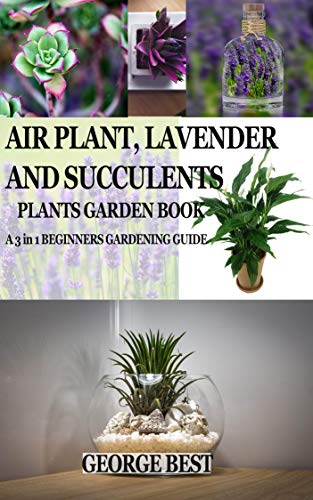 AIR PLANT, LAVENDER AND SUCCULENTS PLANTS GARDEN BOOK: A 3 in 1 BEGINNERS GARDENING GUIDE