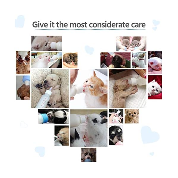 FJNATINH-Kitten-Puppy-Feeding-Bottles-Newborn-Small-Animals-Milk-Bottles-for-Nursing-with-Replacement-Nipples-Pet-Feeder-Set Small Animals Milk Bottles for Nursing