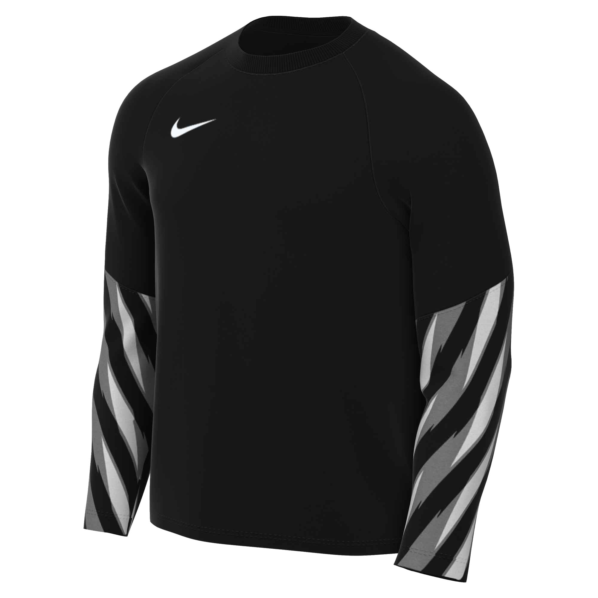 NIKE Park V – Dri-FIT Long Sleeve Goalkeeper Shirt Multi-Coloured