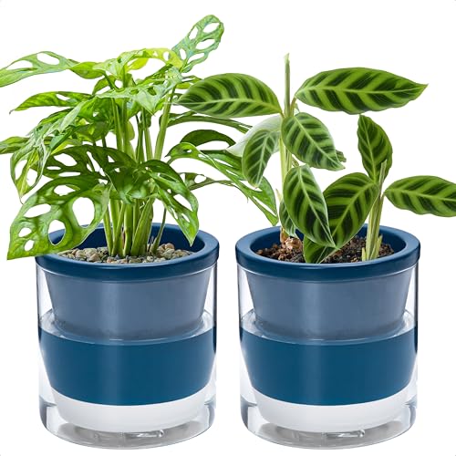 D'vine Dev 6-Inch Self Watering Indoor Planters (Set of 2)