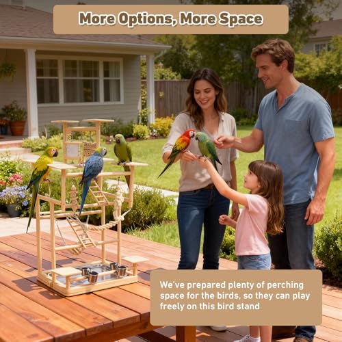 Bird Playground – 7-Level Natural Wood Parrot Playstand with Feeders & Toys, Modular Two-Tier Bird Play Gym, Detachable Top Tabletop Stand
