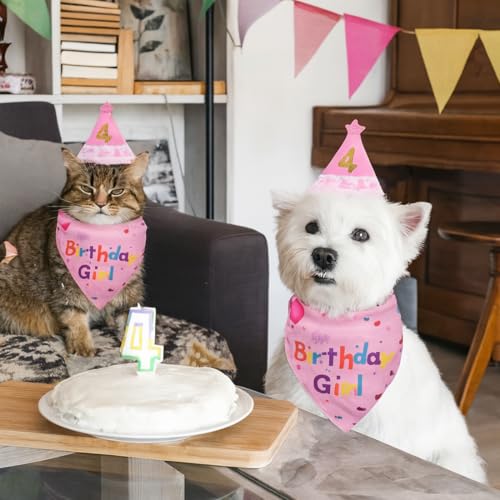 Geburtstagsmütze Schal-Set für kleine Hunde und Katzen, Bandana Katzen-Geburtstagshut mit Zahlen Katzen-Geburtstagslätzchen niedliches Haustier Geburtstags Partyzubehör (Rosa)