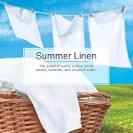 LITTLE TREES Car Air Freshener | Hanging Paper Tree for Home or Car | Summer Linen | 6 Pack