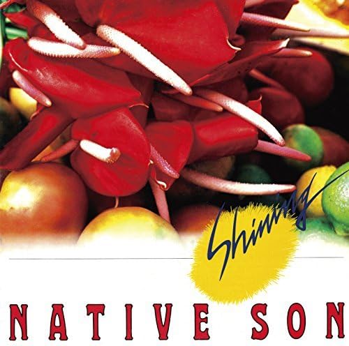 NATIVE SON - Shining = シャイニング - CD
