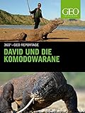  David und die Komodowarane