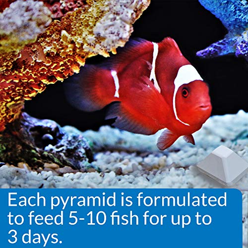 Image of API Weekend Pyramid Fish Feeder 3-Day Automatic Fish Feeder 1.4 oz 4Count Pack