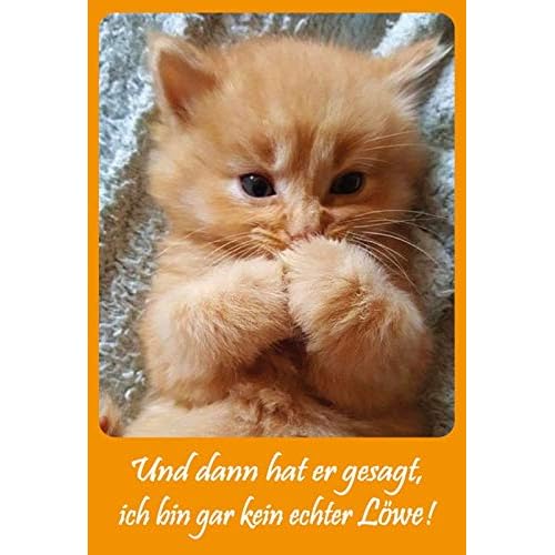 Schatzmix Und dann Hat er gesagt, ich Bin Gar kein echter Löwe! Funny - Placa Decorativa para Pared (20 x 30 cm), diseño de Gatos