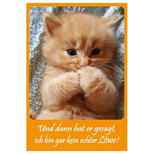 Schatzmix Und dann Hat er gesagt, ich Bin Gar kein echter Löwe! Funny - Placa Decorativa para Pared (20 x 30 cm), diseño de Gatos