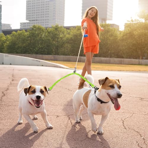 CAPASTEC Zweifach-Hundeleine, reflektierende Doppel-Hundeleine für einfaches Gassi gehen mit 2 Hunden, 360° drehbare Leine ohne Verheddern für das Training mit Zwei Hunden, Grün