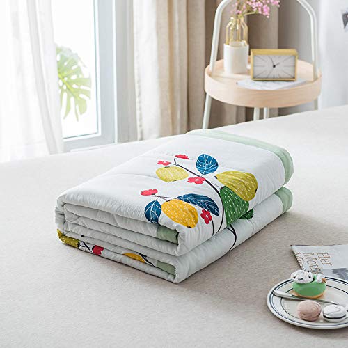 Steppdecke Double Face Für Übergangszeit – Doppelbett 260x260cm, Weich & Bunt, 100% Polyester, 100g Füllung