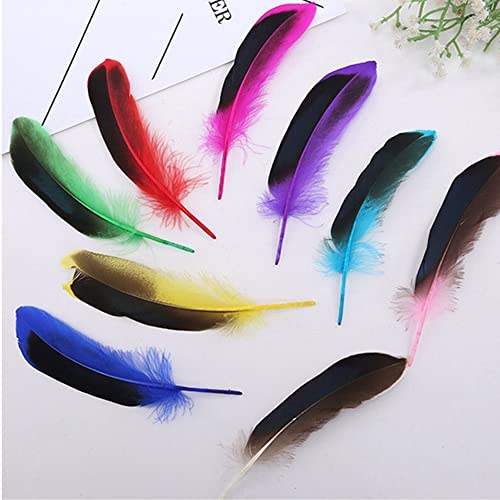 laeeyin 50 Stück Federn Bunte Federn Zum Basteln, Feder Deko für DIY Ohrring, Hochzeit, Traumfänger, Kopfschmucksfedern, Schulhandwerk