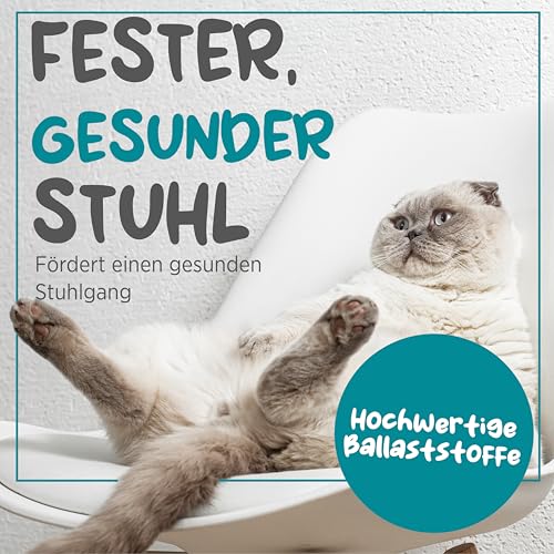 maxxipaws maxxiscoot Analdrüse & Darmgesundheit für Katzen - Nahrungsergänzungsmittel in Pulverform, 90g
