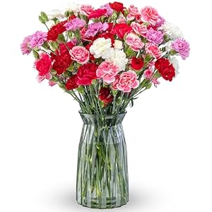 Benchmark Bouquets – 20 Stem Rainbow Mini Carnations (Glass Vase Included) – Fresh Flowers for Next Day Delivery – Gift for Birthday, Anniversary, Get Well, Sympathy, Congratulations, Valentine’s Day