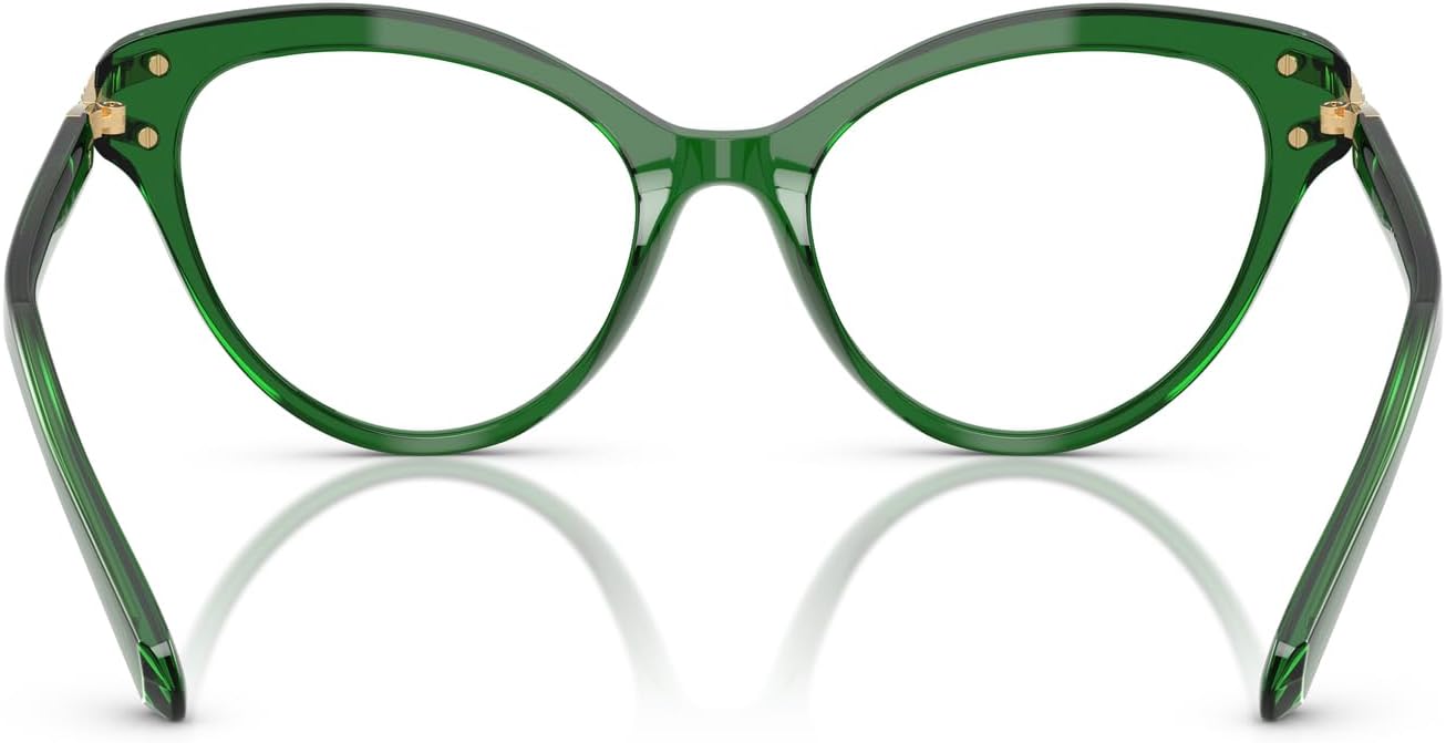 Swarovski womens Sk2030 Cat Eye Prescription Eyewear Frames