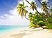 Produktbild Fototapete SELBSTKLEBEND Papier-(02)-Kein einkleistern, mehrfach klebbar, wieder ablösbar-PALM BEACH-272x198cm-8 Teile-Palmen-Strand Karibik Südsee Skyline Natur Landschaft Stickers Meer Sonne