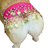 CHOWONE Dogs Belly Dancer Skirt, Waist Chain Hip Curtain Clothes for Corgi Dog Belly Dance Style with Sequin, Puppy Hip Shaking Dance Clothes Decoration Pet Costumes