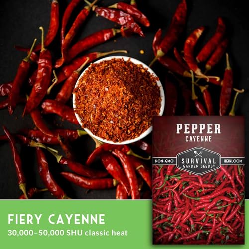 Cayenne Pepper Seeds for Planting | Hot Heirloom Non-GMO Red Peppers with 30,000–50,000 Scoville Heat – Survival Garden Seeds (2 Pack) - Image 3