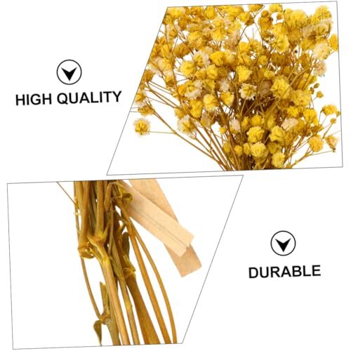 5 Ramos de Flores Secas Gypsophila para Decoración miniatura 5