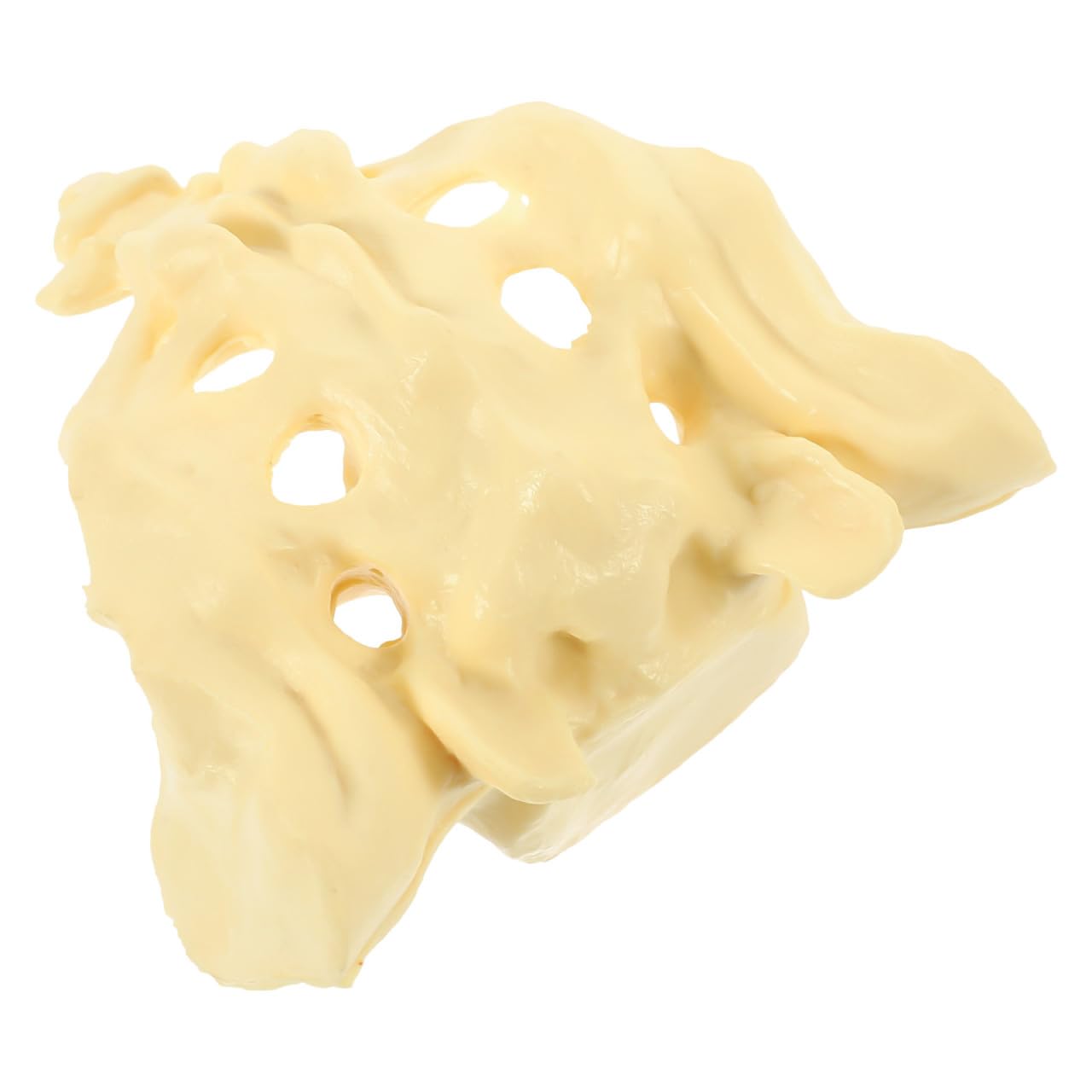 Modèle anatomique médical en PVC Mipcase haute précision - 8