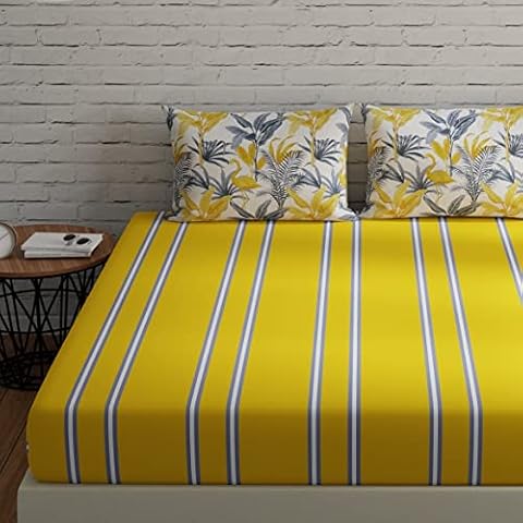 Ahmedabad Cotton 144 TC Pure Cotton King Bedsheet