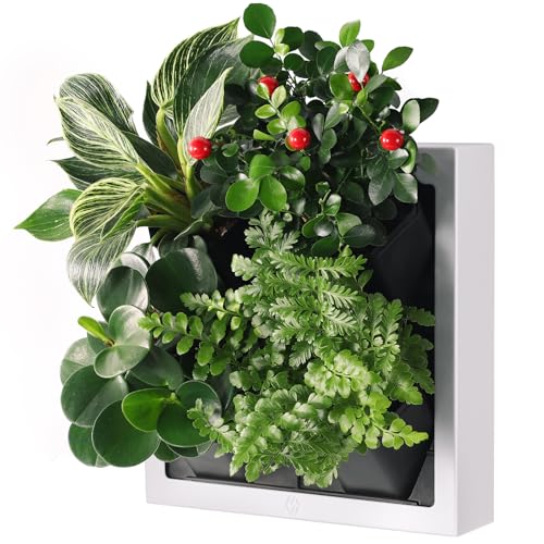 WHLZYEVA Wall-Mounted Vertical Garden Planter – Ready-to-Use Indoor Wall Planter
