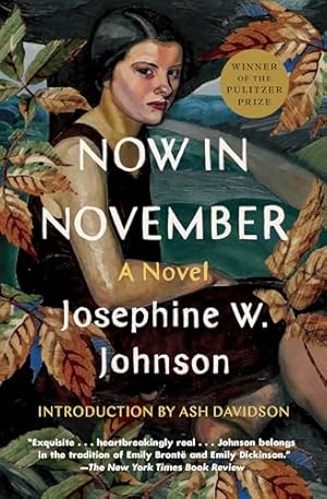 Book cover Now in November: A Novel
