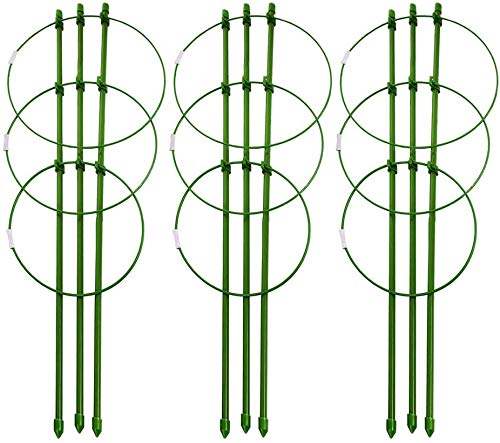 XQK 3PCS Marco de Soporte de Plantas trepadoras Jaula de Soporte de...
