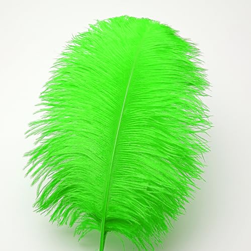 image for Ballinger Lime Green Ostrich Feathers - 24Pcs 8-10inch Large Green Fea