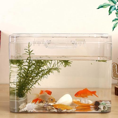    VN 琅 vX`bN KX|bgAN_J  _J OϗtA JGRei e[u k͔| e  eh