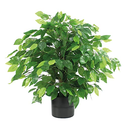 Blooming Artificial Plants Indoors in Pots, Faux Decorative Foliage, No Hassle, Easy Care, Perfect for Bringing Life to Indoor Spaces (Weeping Fig Ficus) (Green) (60cm)