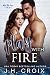 Play With Fire (Into The Fire Series Book 7)