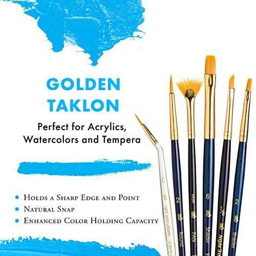 Princeton Real Value, Series 9100, Paint Brush Sets For Acrylic, Oil & Watercolor Painting, Syn-Gold Taklon (Rnd 2, Tight Spot 0, Fan 2/0, Shader 2, 6, Ang 1/8) #TOP3