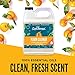 Aunt Fannie's Floor Cleaner Vinegar Wash - Multi-Surface Cleaner, 32 oz. (Single Bottle, Mandarin)