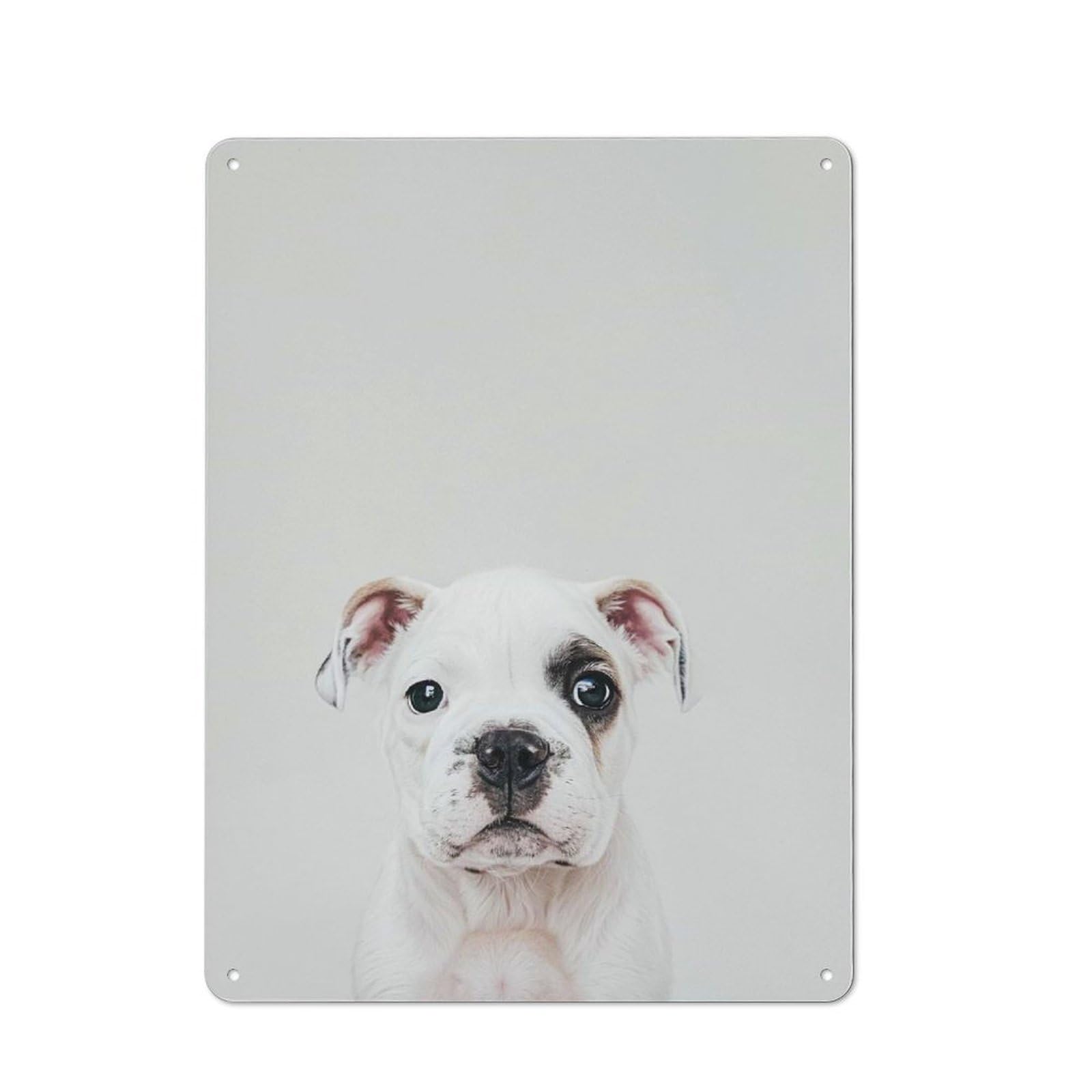 Junmoney Style-3 Retro Retro Metal Sign 40X30cm Featuring Cute Baby Bulldog, Garage Wall Decor For Garage, Hobby Room, Office Or Man Cave