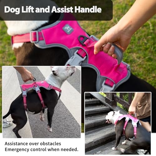 Image of Huntboo Escape Proof Dog Harness, Escape Artist Harness, Reflective Harness with Padded Handle, Breathable, Durable, Adjustable Vest for Medium Dogs Walking, Training, and Running Gear (Rose red, M)