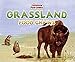 Grassland Food Chains (Fascinating Food Chains)